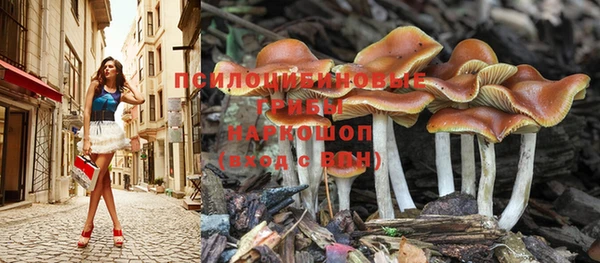тгк Иннополис